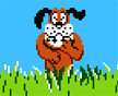 duck hunt